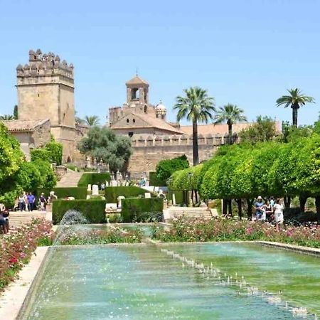 Apartamento Con Jardin Y Piscina En Cordoba Luaran gambar