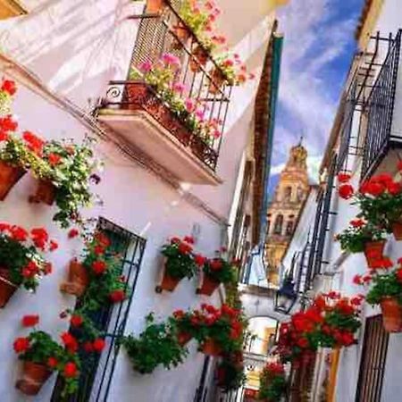 Apartamento Con Jardin Y Piscina En Cordoba Luaran gambar