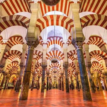 Apartamento Con Jardin Y Piscina En Cordoba Luaran gambar