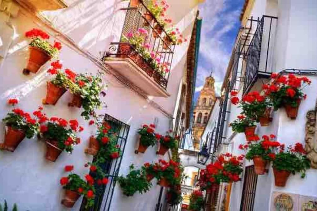 Apartamento Con Jardin Y Piscina En Cordoba Luaran gambar