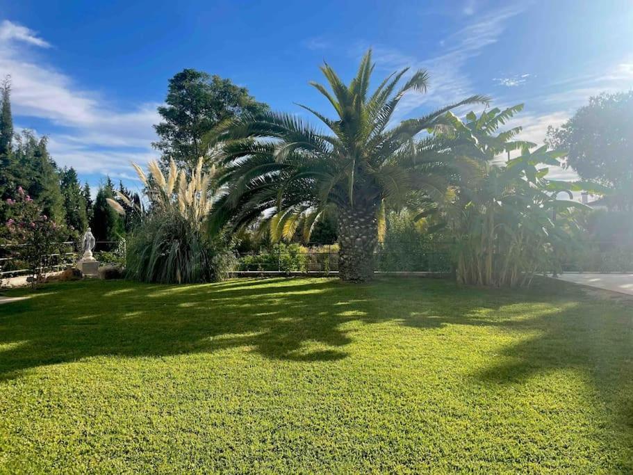 Apartamento Con Jardin Y Piscina En Cordoba Luaran gambar
